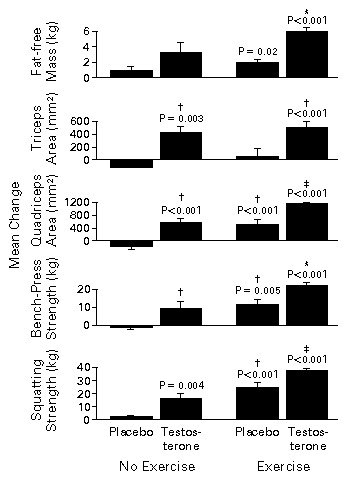 Changes from Base Line in Mean (±SE) Fat-free Mass, Triceps and Quadriceps Cross-Sectional Areas, and Muscle Strength in the Bench-Press and Squatting Exercises over the 10 Weeks of Treatment